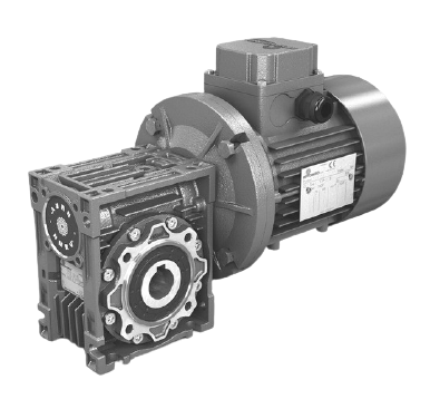 Oil seals gear motor