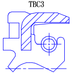 TBC3, H3137