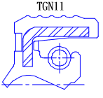 TGN11, P06549
