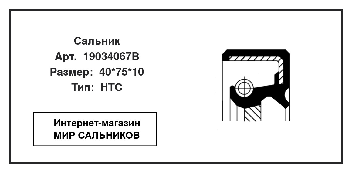Нажмите для увеличения изображения Сальник , дифференциал Сальник , дифференциал CORTECO 40*75*10 - изображение 2