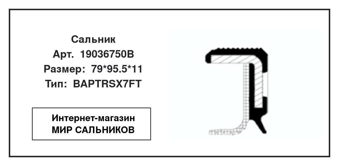 Нажмите для увеличения изображения Сальник , коленчатый вал Сальник , коленчатый вал CORTECO 79*95.5*11 - изображение 2