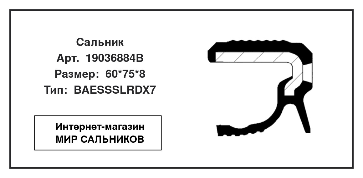 Нажмите для увеличения изображения Сальник , коленчатый вал Сальник , коленчатый вал CORTECO 60*75*8 - изображение 2