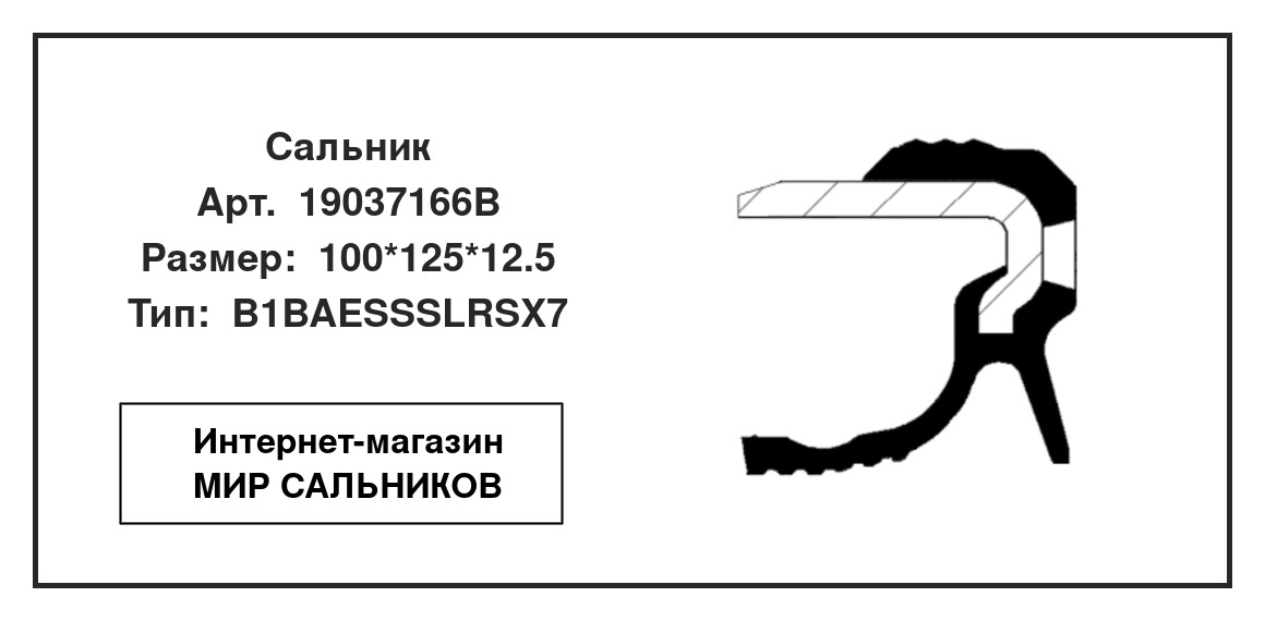 Нажмите для увеличения изображения Сальник , коленчатый вал Сальник , коленчатый вал CORTECO 100*125*12.5 - изображение 2